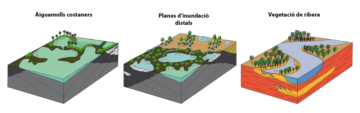Models de la vegetació de finals del Cretaci en cada una de les zones estudiades (Josep Marmi/ICP)